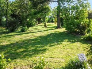Maisons de vacances Maison de charme a Mailly-Maillet avec jardin cloture et cheminee : photos des chambres