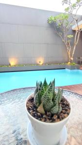 UU villa at kingspark 8