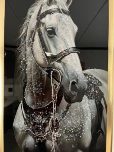 Lake view Apartment and suite