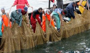 Hotel Villa Pimpina img57