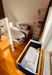 Uptown Monkey 7 min walk to Republicii street