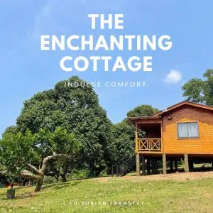 CH Durian Farmstay - 马六甲 CH Durian Farmstay - 马六甲