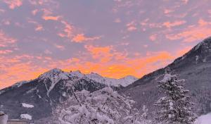 Apartment Wildalmblick