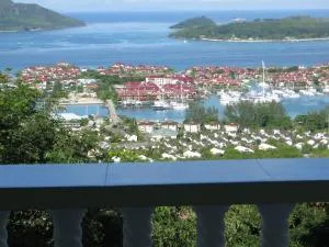 عدن بانوراميك - Misere