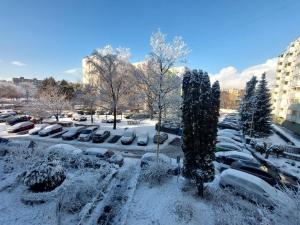 Trendy Family Apartment