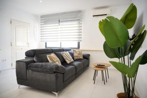 Apartment Lavanda Albir