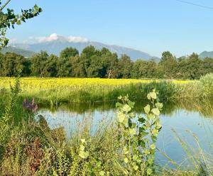 Fattoria Il Giardo
