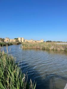 Maisons de vacances Maison avec bassin dans les remparts : photos des chambres