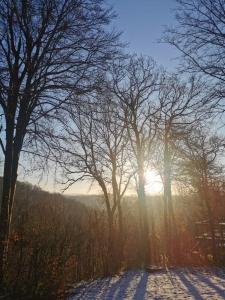 Sunclass Durbuy Chalet 98 Woody