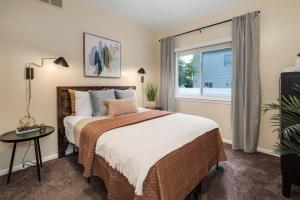 Stylish Sanctuary Near EMU- Ideal for Med Students apts