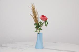 Modern Studio central location