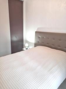 Appartements Appartement charmant a Chambery de 35 m² + balcon privatif : photos des chambres