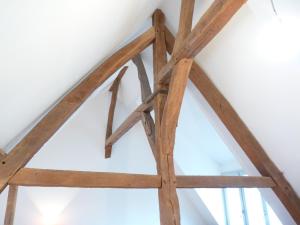 Appartements La Citadine, Historic Townhouse, views of Royal Chateau of Amboise, AC, Parking : photos des chambres