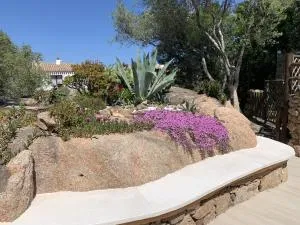 L'Olivastro Appartamenti a Porto Cervo - 切尔沃港