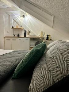 Appartements Studio La tete dans les etoiles : photos des chambres