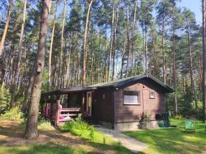 Domek pod sosnami - Linowiec