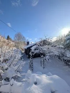 Tilli's Haus - Rhena