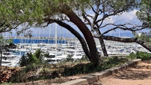 Appartements La Pascaline locations-06 a 30mn Cannes Nice : photos des chambres