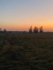 1 nowy domek na wyłączność z Jakuzzi Psy mile widziane Rewalia Relax