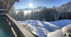 Buena Vista Mountain Lodge