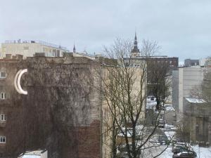 Penthaus Lux for 6 person with sauna in city center