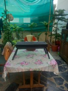 Viraj Tours And Travels And Homestay Indore