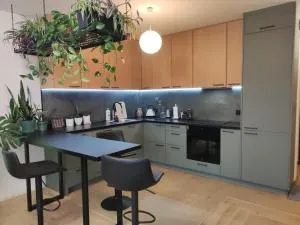 Apartament Rutkiewicz - Krzemienica