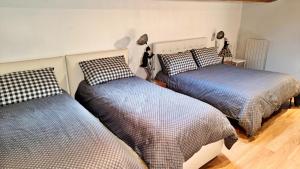 Nel Cuore di Perugia 2