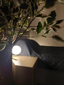 Zepterme Apartman 012