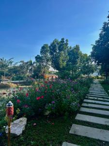 บ้านกลางเกาะ รีสอร์ท