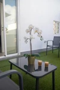 Violeta Suite - Tenoya