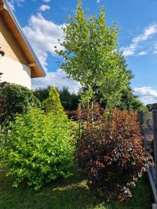 Komfortowe domki w Pucku - Zacisze