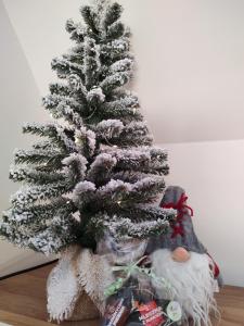 Domek Pocieszna Podkowa