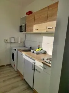 2 Bett Monteurwohnung in Zeithain - Riesa