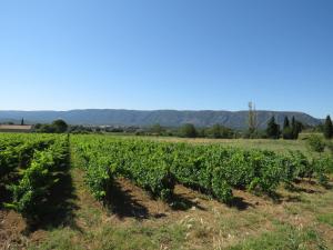 B&B / Chambres d'hotes Au calme face au Luberon : photos des chambres