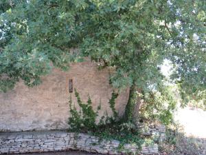 B&B / Chambres d'hotes Au calme face au Luberon : photos des chambres