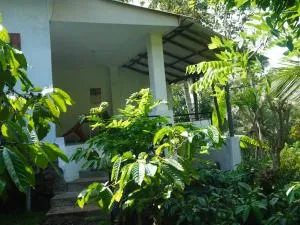 peno coffee house - Sumberbuluh