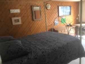 Maisons de vacances La Cocadiere : photos des chambres