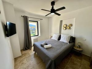 Villas Mas de Baye - classe 5 etoiles meuble de tourisme : photos des chambres