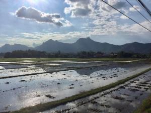 Tiny house homestay T2