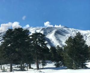 Zaffiro Lavico rooms Etna nature sea
