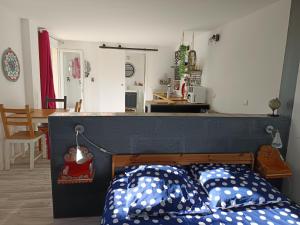 Appartements Studio independant terrasse entre mer et collines : photos des chambres