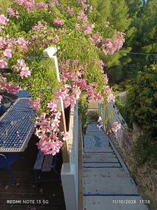 Appartements Studio independant terrasse entre mer et collines : photos des chambres
