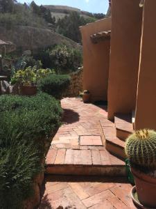 L'Olivastro Appartamenti a Porto Cervo img31