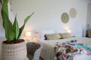 Malibu Suites & Apartments