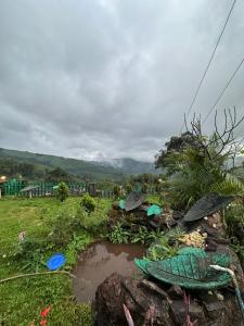 Chikmagalur TopHill Homestay