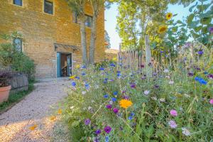 B&B / Chambres d'hotes Chambre Comfort - Ancien Cuvage des Pierres Doree : photos des chambres