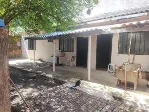 Pé de Pitanga - única casa arborizada do quarteirão com árvores frutíferas - Sarandi