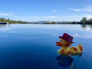 Chalets La Grisonne - Chalet 3 : photos des chambres