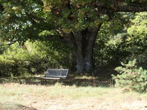 Chalets La Grisonne - Chalet 3 : photos des chambres